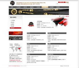 網(wǎng)站建設公司永燦案例 圣皮爾集團官網(wǎng)