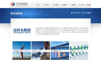 邁科龍官方網(wǎng)站設(shè)計制作 成功案例 沙漠風網(wǎng)站建設(shè)公司