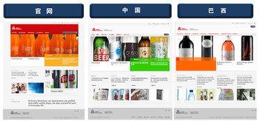 跨國(guó)公司網(wǎng)站建設(shè) 上海的專業(yè)選擇與實(shí)踐