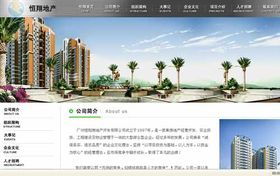 商丘網(wǎng)站建設(shè) 選擇專業(yè)網(wǎng)絡(luò)公司，打造卓越網(wǎng)站